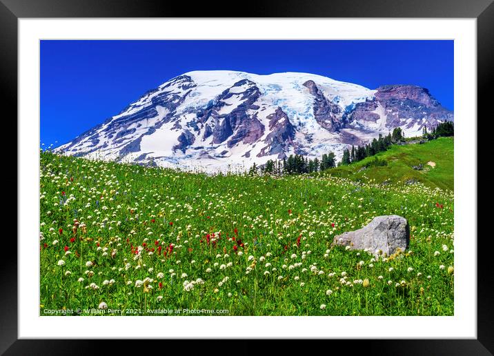 Bistort Indian Paintbrush Wildflowers Paradise Mount Rainier Nat Framed Mounted Print by William Perry