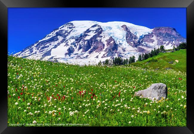 Bistort Indian Paintbrush Wildflowers Paradise Mount Rainier Nat Framed Print by William Perry