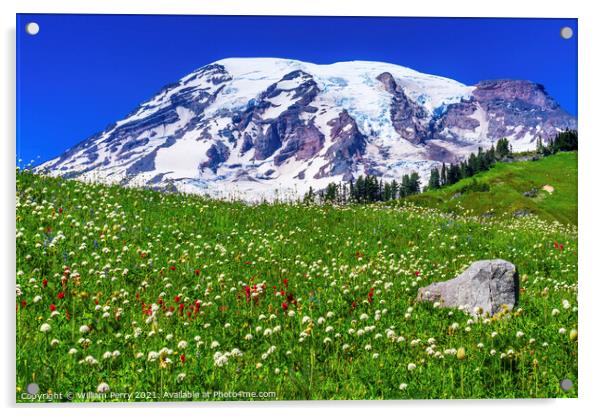 Bistort Indian Paintbrush Wildflowers Paradise Mount Rainier Nat Acrylic by William Perry