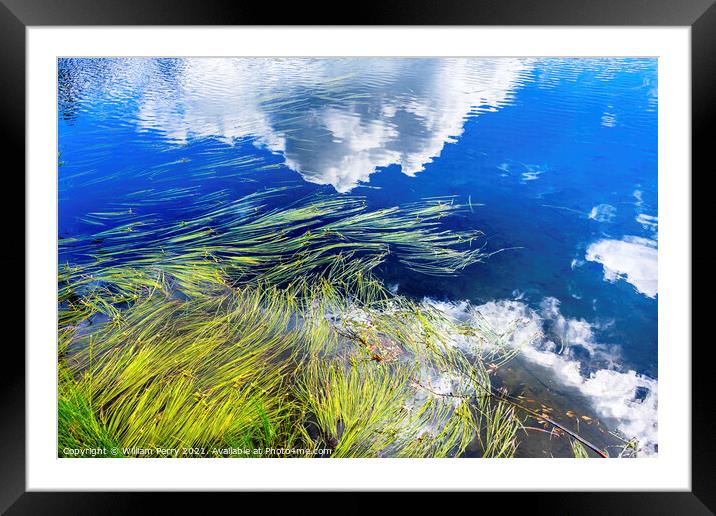 Picture Lake Reeds Clouds Reflection Washington USA Framed Mounted Print by William Perry