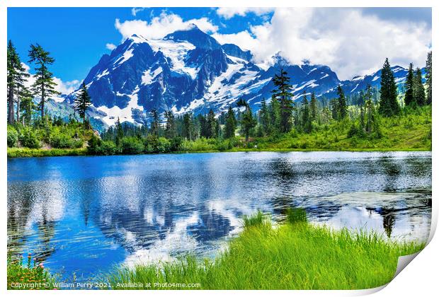 Picture Lake Evergreens Mount Shuksan Washington USA Print by William Perry