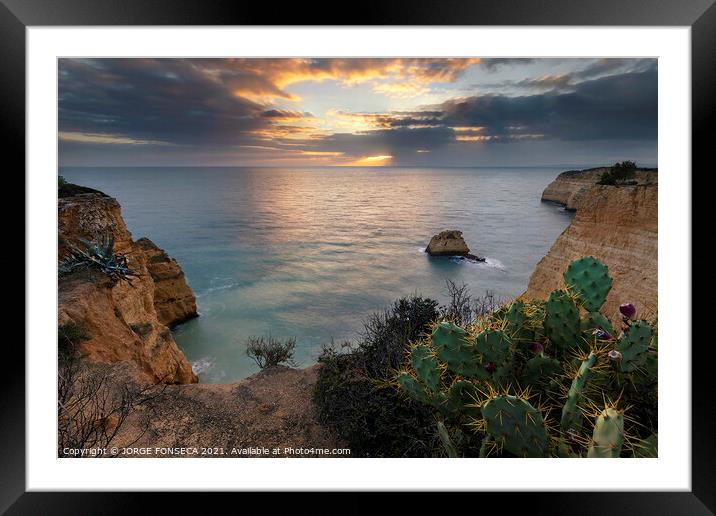 Outdoor  Framed Mounted Print by JORGE FONSECA