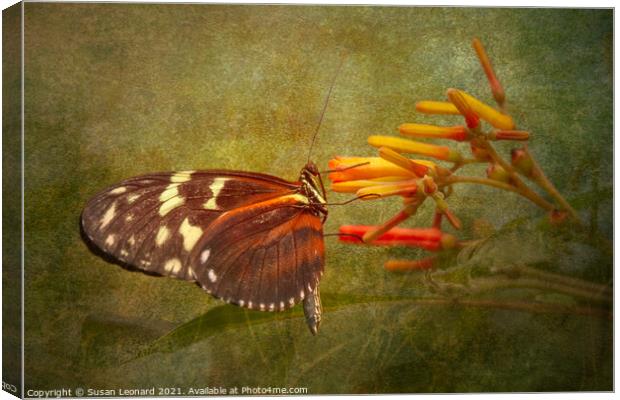 Butterfly and flower Canvas Print by Susan Leonard
