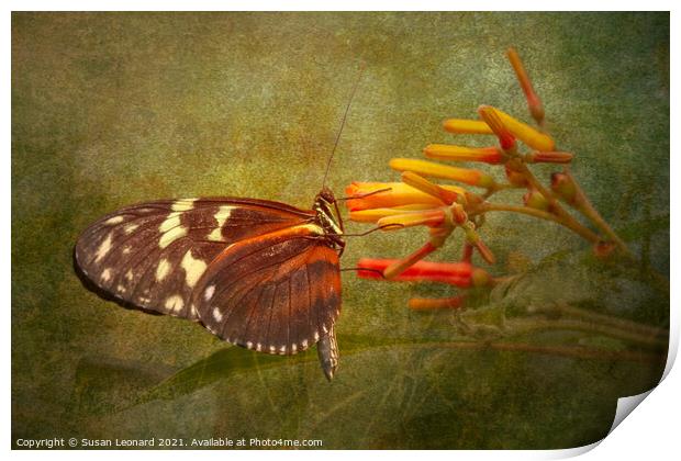 Butterfly and flower Print by Susan Leonard