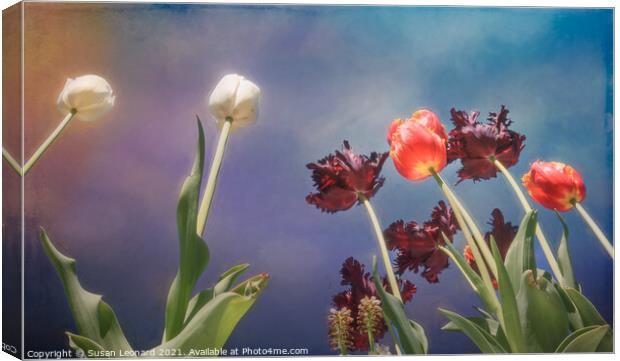 Tulips, tulips, tulips Canvas Print by Susan Leonard
