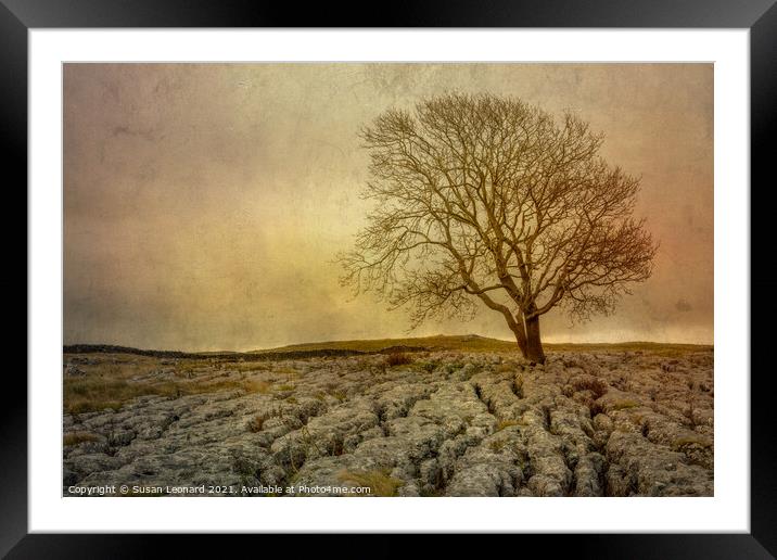 Lone tree against a storm in the Yorkshire Dales Framed Mounted Print by Susan Leonard