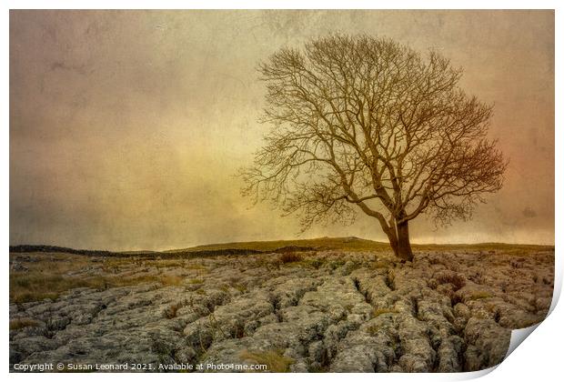 Lone tree against a storm in the Yorkshire Dales Print by Susan Leonard