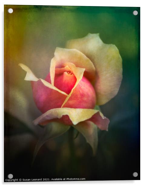 Rose  Acrylic by Susan Leonard