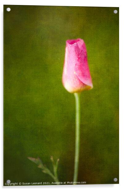 Tulip Bud Acrylic by Susan Leonard