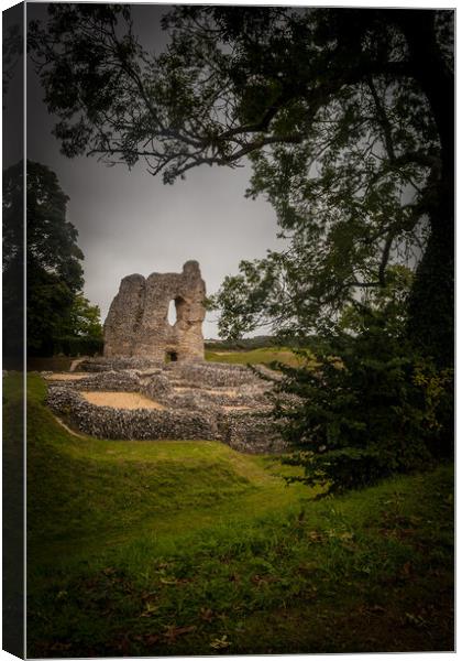 Ludgershall Castle, Ludgershall, Wiltshire, United Canvas Print by Michaela Gainey