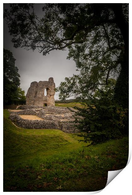 Ludgershall Castle, Ludgershall, Wiltshire, United Print by Michaela Gainey