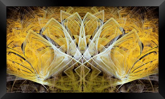 Yellow Spring Bulbs Abstract Framed Print by Maria Forrester