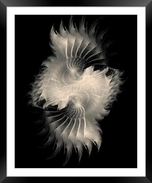 Purity - White Feather Fractal Art Framed Mounted Print by Maria Forrester
