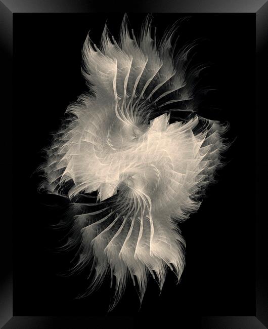 Purity - White Feather Fractal Art Framed Print by Maria Forrester