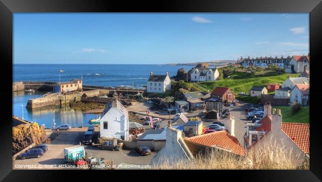 St. Abbs Harbour Framed Print by Grant Mckane
