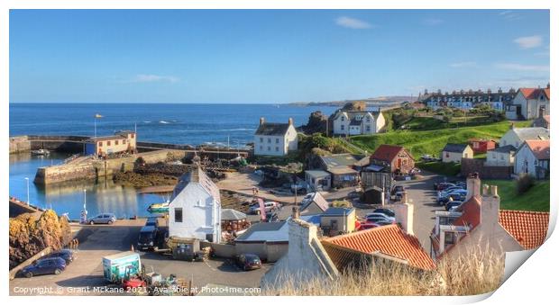 St. Abbs Harbour Print by Grant Mckane