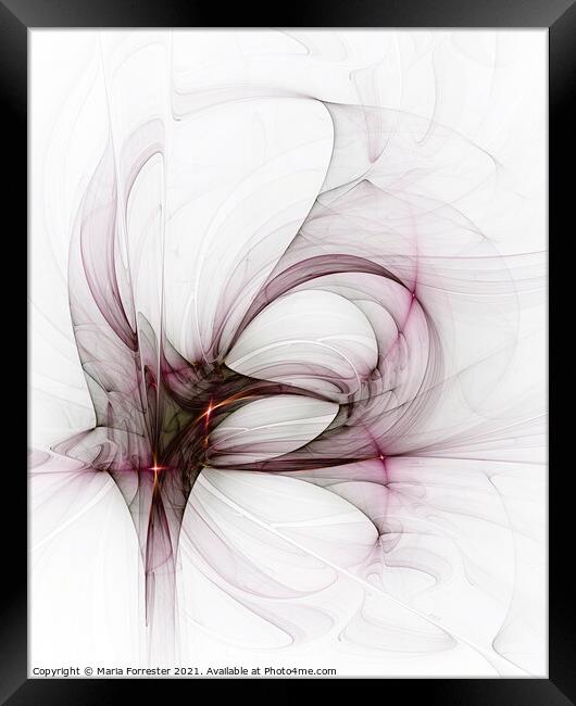 Pink Tulip Abstract Fractal Art Framed Print by Maria Forrester