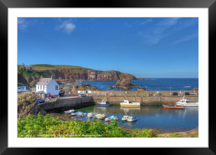 St Abbs Fishing Harbour Framed Mounted Print by Grant Mckane