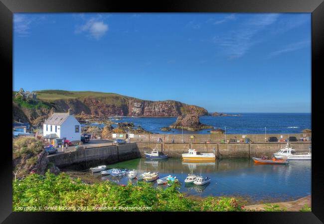 St Abbs Fishing Harbour Framed Print by Grant Mckane