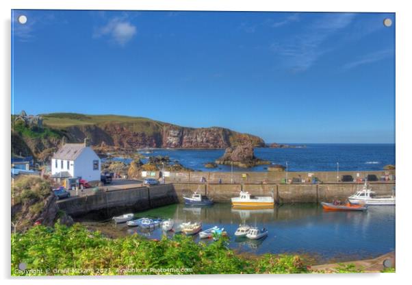 St Abbs Fishing Harbour Acrylic by Grant Mckane