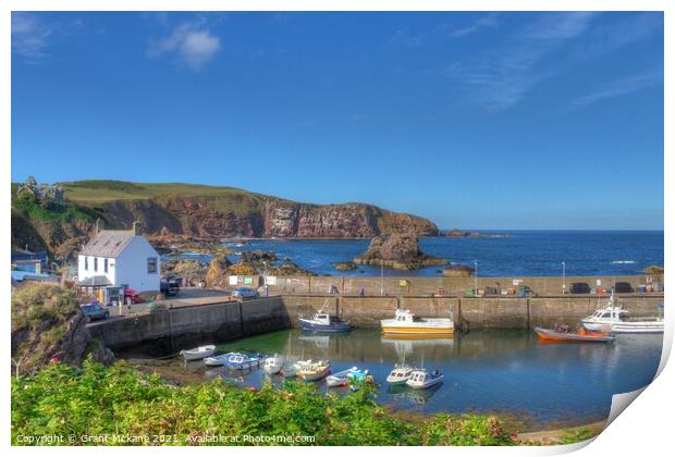 St Abbs Fishing Harbour Print by Grant Mckane