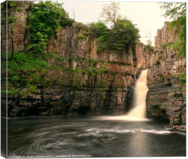 High Force Waterfall Canvas Print by Grant Mckane