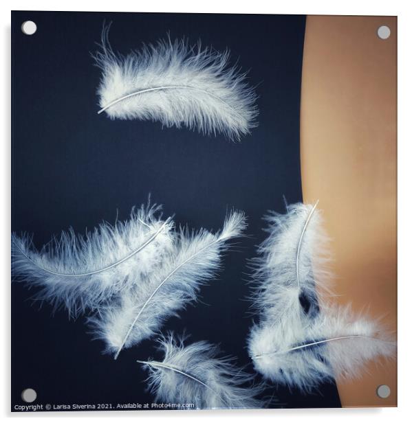 White feathers Acrylic by Larisa Siverina