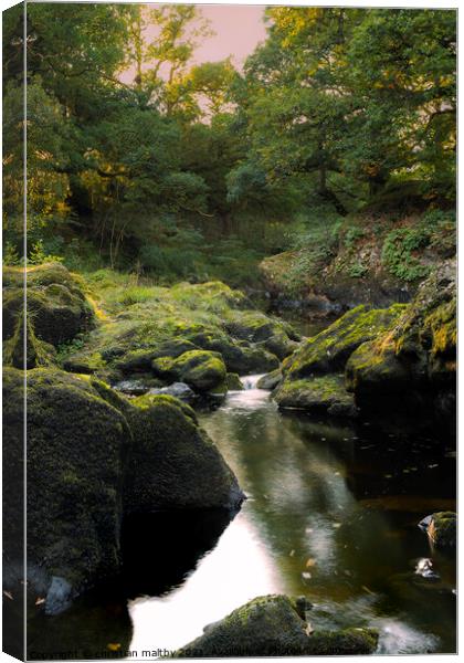 Scaur water Dumfries and Galloway Canvas Print by christian maltby