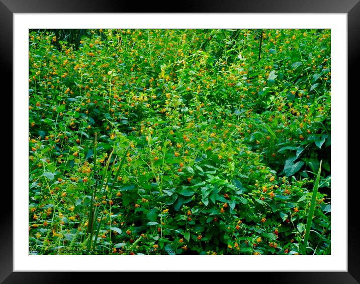 A Wall of Green Framed Mounted Print by Stephanie Moore