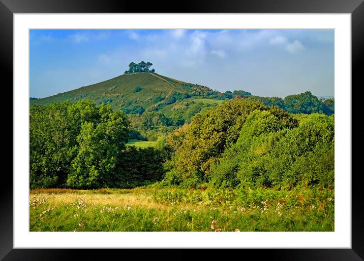 Colmers Hill Framed Mounted Print by Darren Galpin