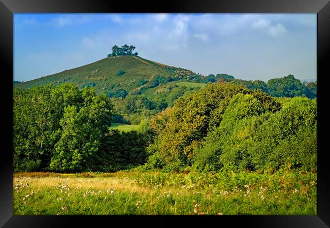 Colmers Hill Framed Print by Darren Galpin