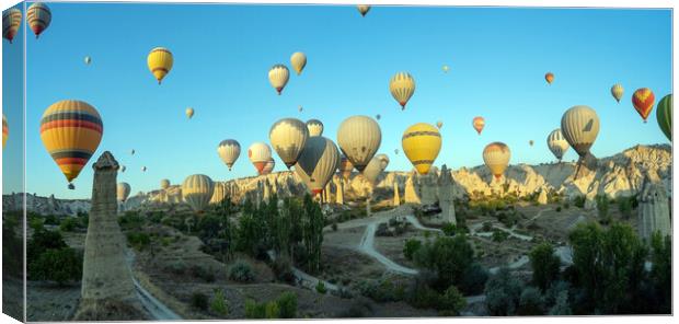 Panorama of bunch of colorful hot air balloon flying early morning in Cappadocia, Turkey against typical rock formation due to volcanic activity in love valley located in Goreme national park Canvas Print by Arpan Bhatia