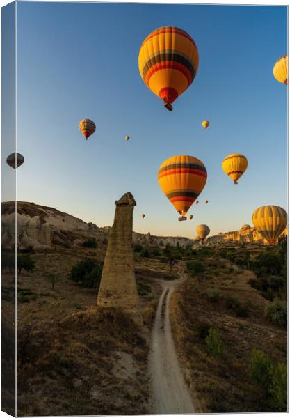 Vertical image of bunch of colorful hot air balloon flying early morning in Cappadocia, Turkey against typical rock formation due to volcanic activity in love valley located in Goreme national park Canvas Print by Arpan Bhatia