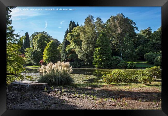 Trees and flora of Sheffield Park Framed Print by Kevin White
