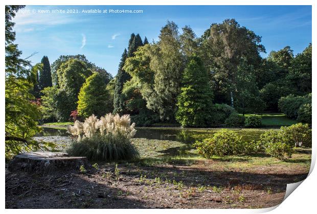 Trees and flora of Sheffield Park Print by Kevin White