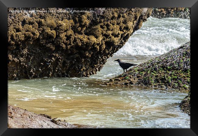 Sea inlet between rocks Framed Print by Lucas D'Souza