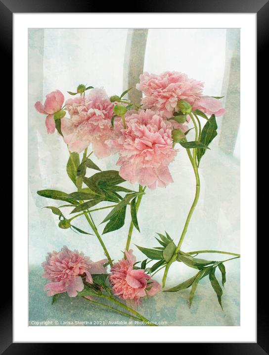 Plant flower Framed Mounted Print by Larisa Siverina