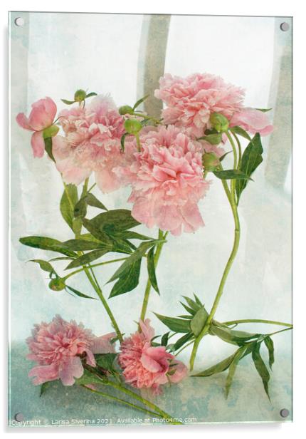 Plant flower Acrylic by Larisa Siverina