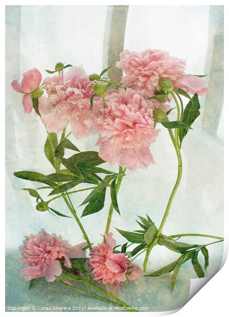 Plant flower Print by Larisa Siverina