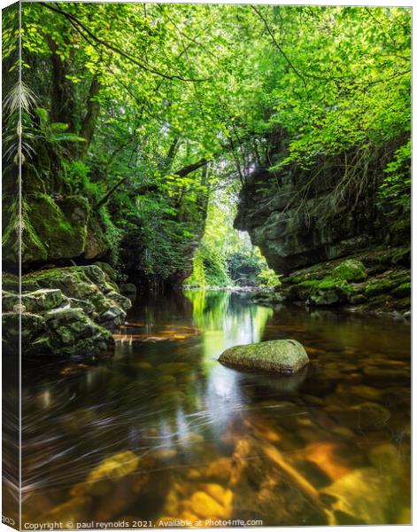 Brecon Beacons river gorge Canvas Print by paul reynolds