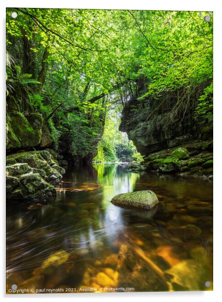 Brecon Beacons river gorge Acrylic by paul reynolds