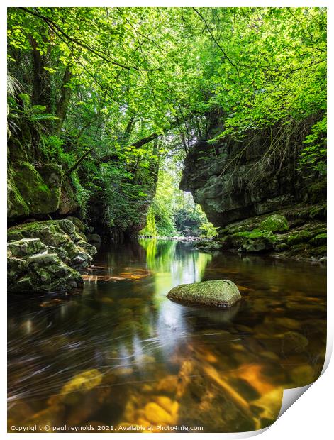 Brecon Beacons river gorge Print by paul reynolds