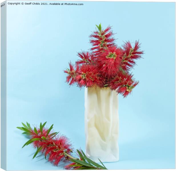 Red Bottlebrush flowers in a white vase. Canvas Print by Geoff Childs