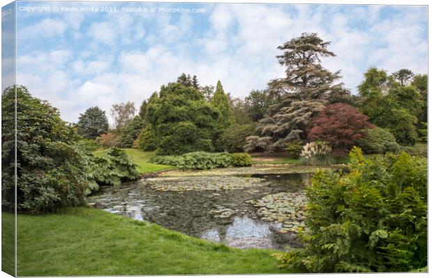 Pond side at Sheffield Park Canvas Print by Kevin White
