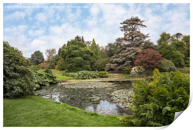 Pond side at Sheffield Park Print by Kevin White