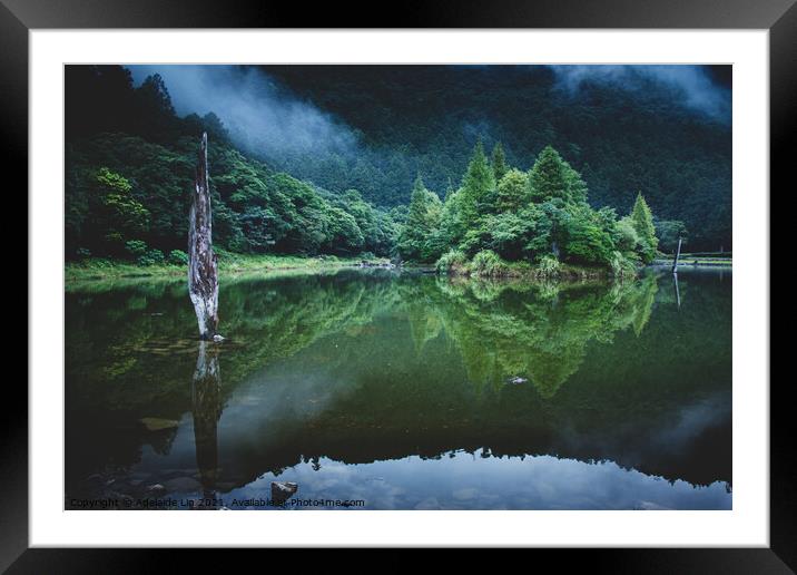 Reflection of trees in the lake Framed Mounted Print by Adelaide Lin