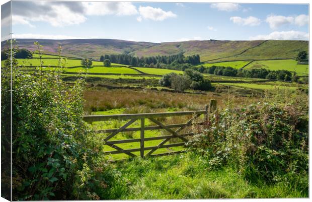 Late summer countryside near Glossop in the High Peak Canvas Print by Andrew Kearton