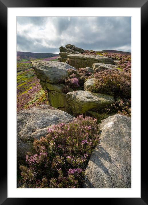 Heather blooming around theThe Worm Stones, Glossop, Derbyshire Framed Mounted Print by Andrew Kearton