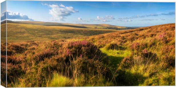 Dartmoor at North Bovey Canvas Print by Maggie McCall
