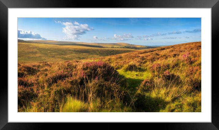 Dartmoor at North Bovey Framed Mounted Print by Maggie McCall